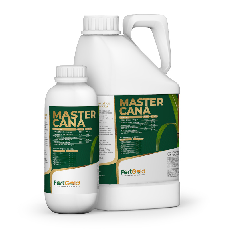 Master Cana