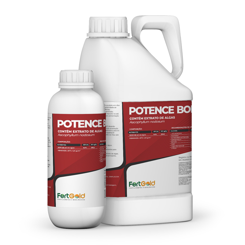 Potence Boro